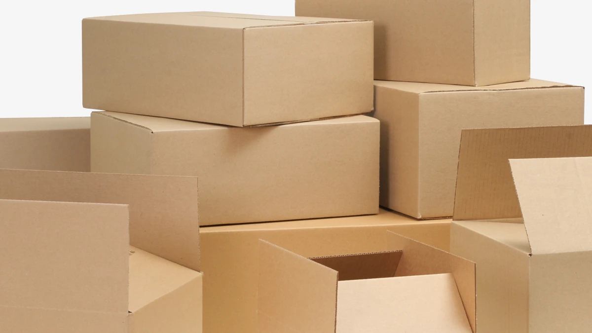 mailing-box-banner-565x500